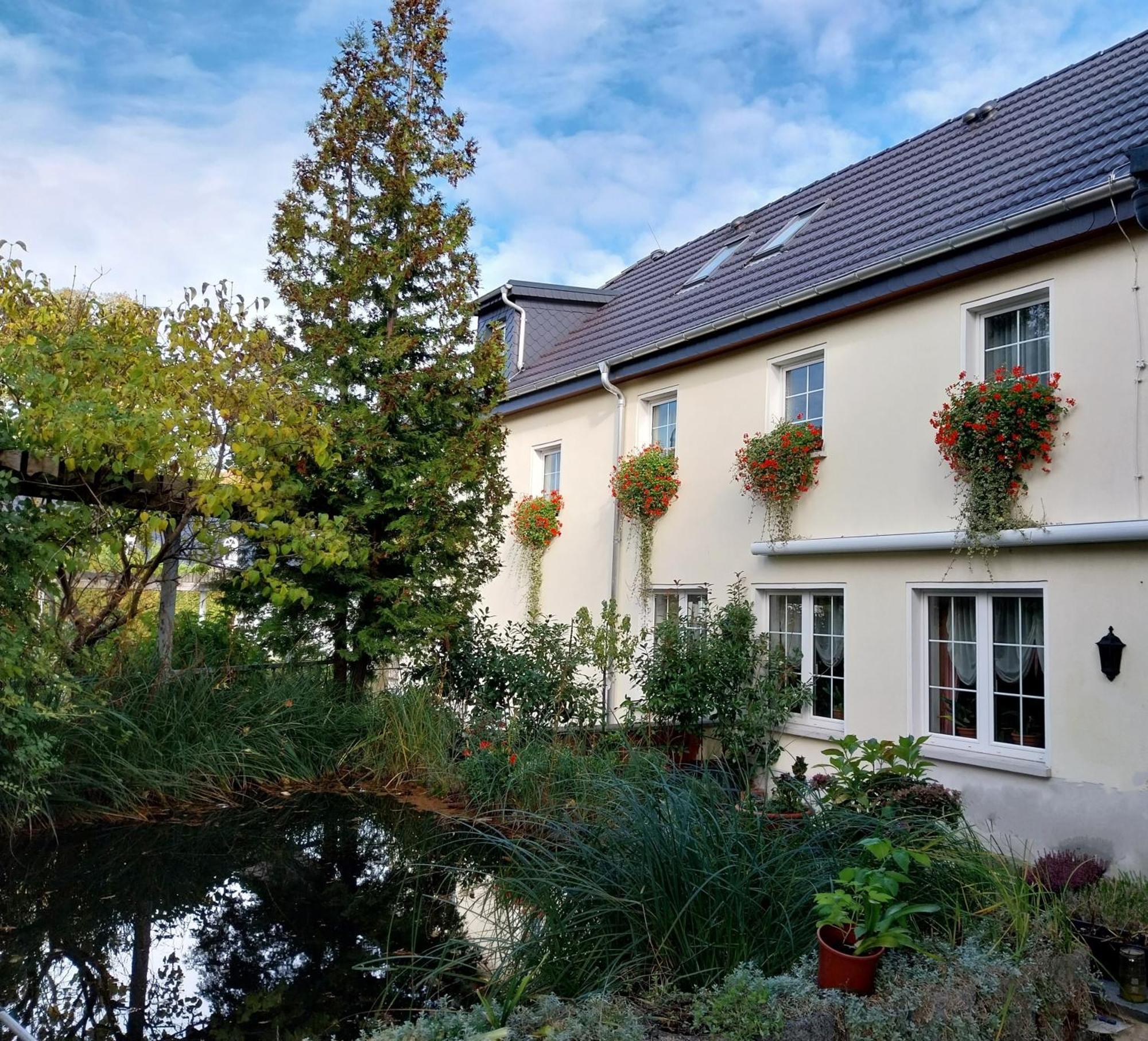 Ferienwohnung - Landhotel Waldschloesschen Sohland an der Spree Екстер'єр фото