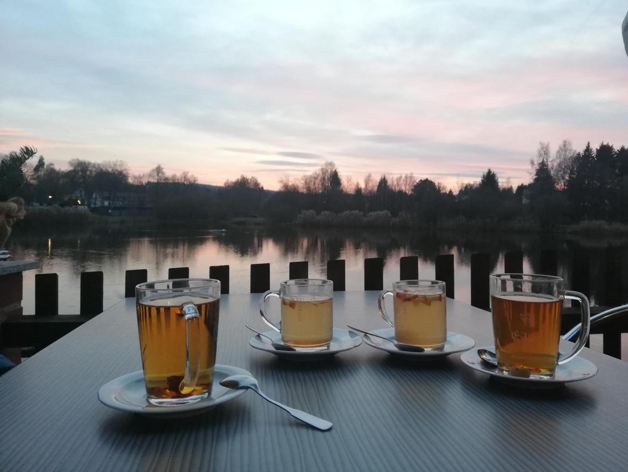 Ferienwohnung - Landhotel Waldschloesschen Sohland an der Spree Екстер'єр фото